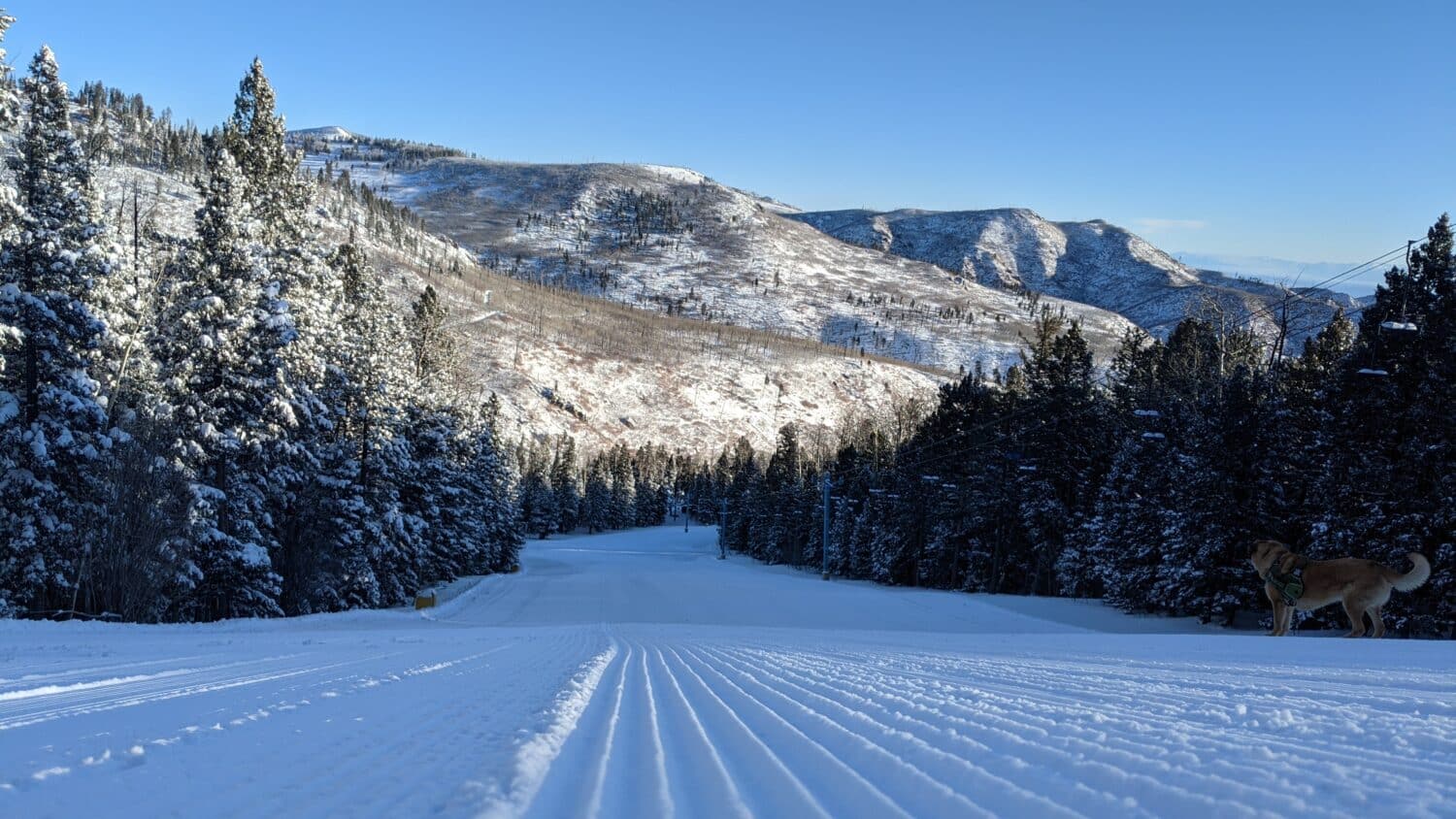 Pajarito Ski & Ride - Pajarito Mountain Ski Area